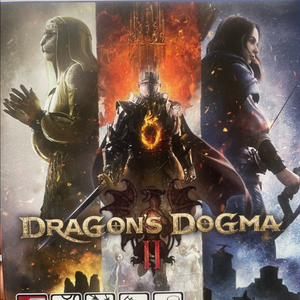 ps5 드래곤즈 도그마 2