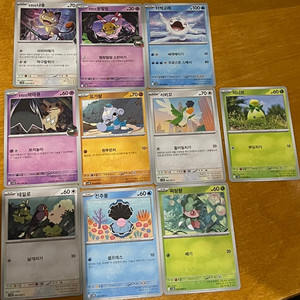 로켓단의 영광 기여미들