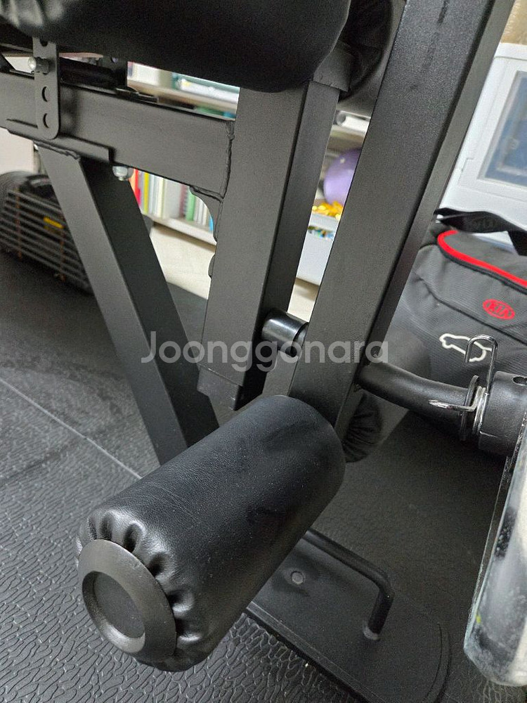 제너럴라인 벤치프레스, 바벨원판 10kg, 헬스장바닥재--3