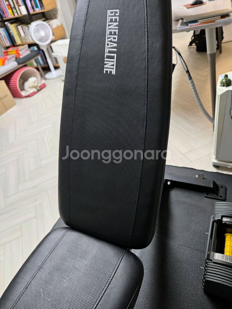 제너럴라인 벤치프레스, 바벨원판 10kg, 헬스장바닥재--9