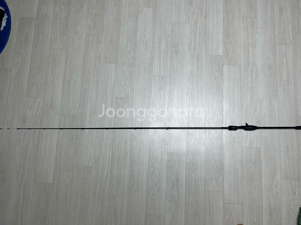 다이와 순에이 가와하기 EX 갑오징어 쭈꾸미 낚시--1