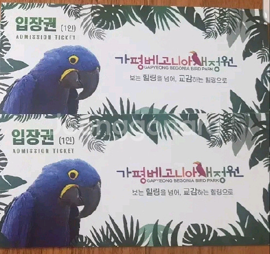 가평 베고니아 새정원 입장권 4매--0