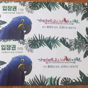 가평 베고니아 새정원 입장권 4매