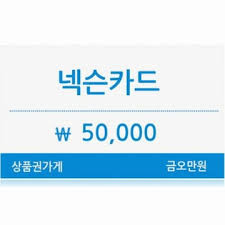 넥슨캐시 5000원