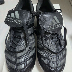 프레데터 엑셀레이터 fg 260급처합니다