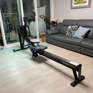 컨셉2 로잉머신 로우에르그 pm5