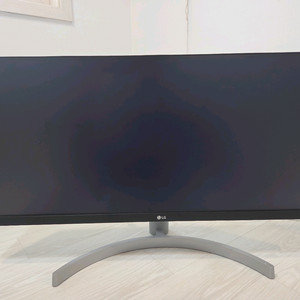 LG 29WN600 29인치 울트라와이드 모니터