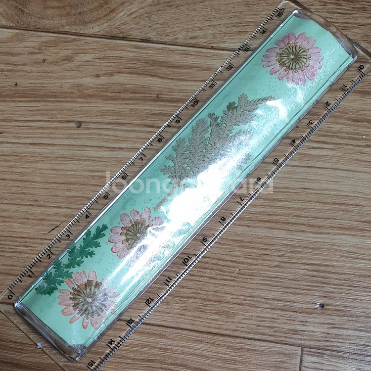 압화 투명자 & 스테인리스 스틸자 15cm--1