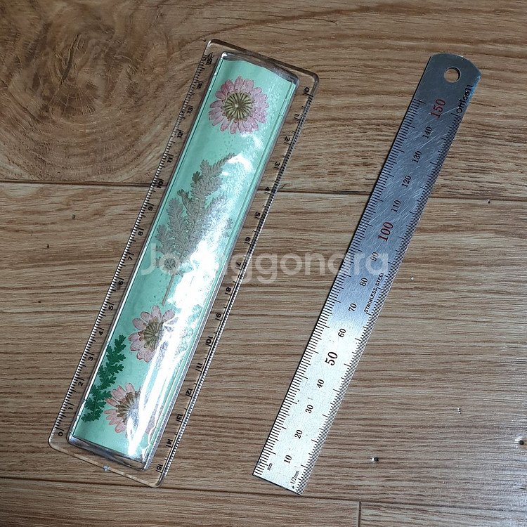 압화 투명자 & 스테인리스 스틸자 15cm--0