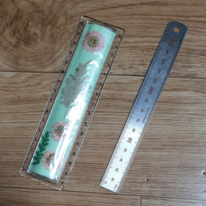 압화 투명자 & 스테인리스 스틸자 15cm