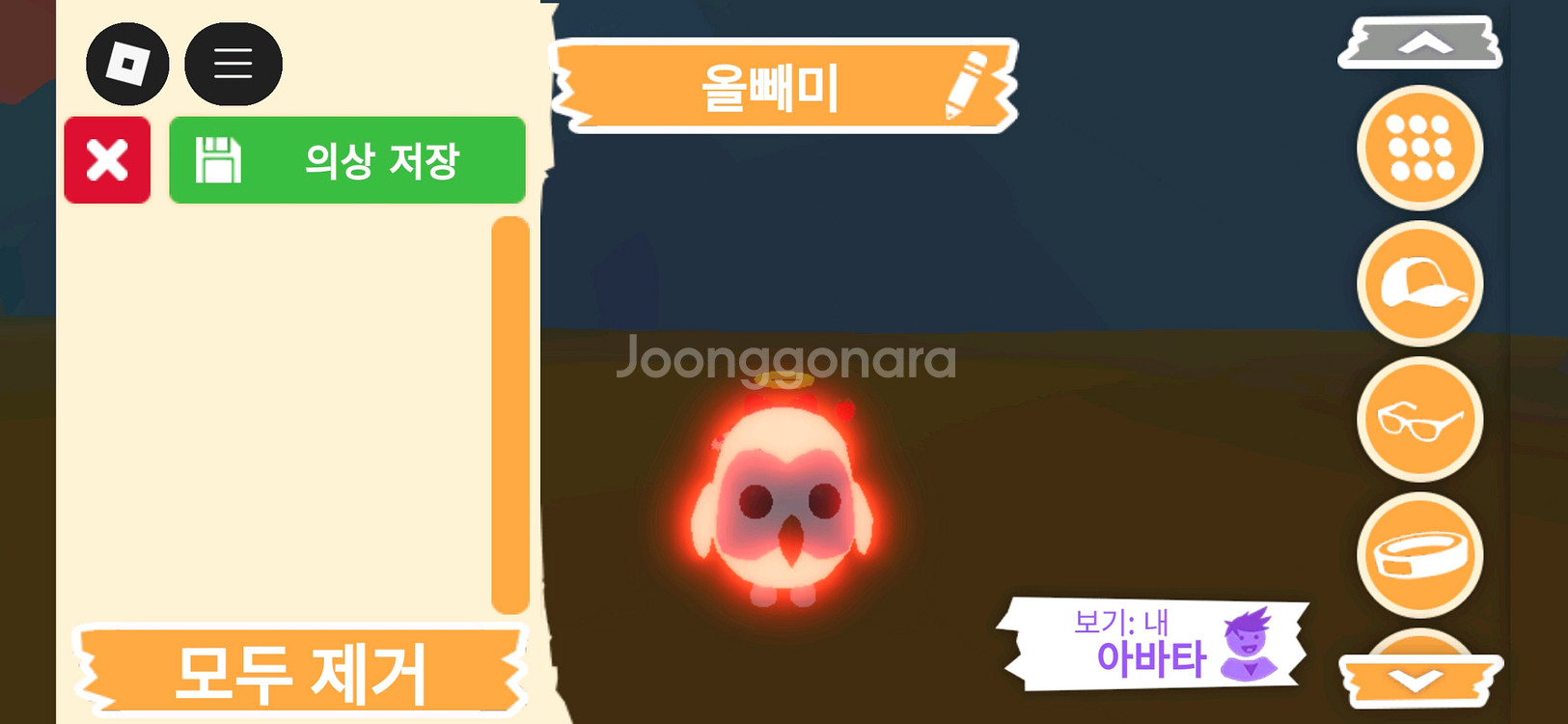 입양하세요 펫 네온 올빼미(부엉이)(네뵝)판매합니다--0