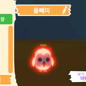 입양하세요 펫 네온 올빼미(부엉이)(네뵝)판매합니다