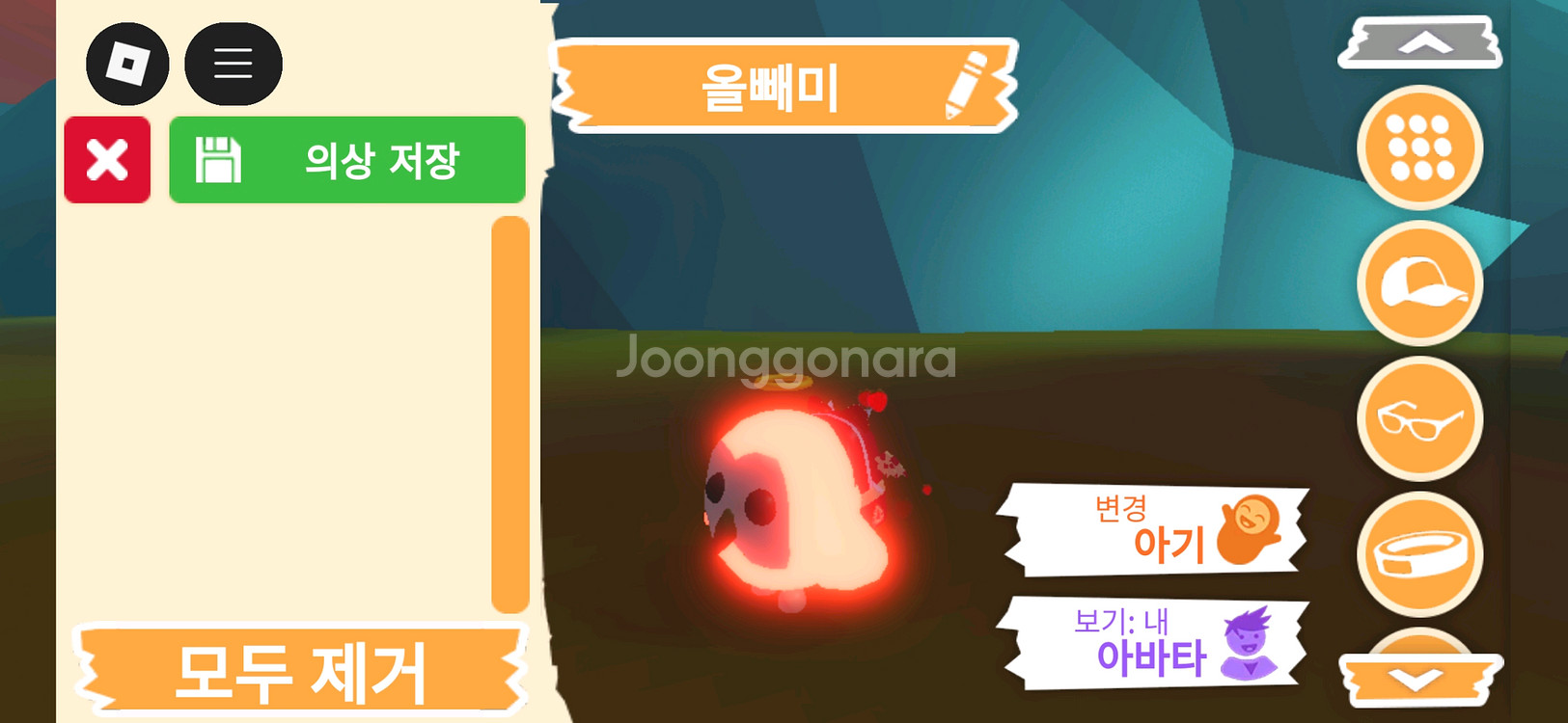 입양하세요 펫 네온 올빼미(부엉이)(네뵝)판매합니다--2