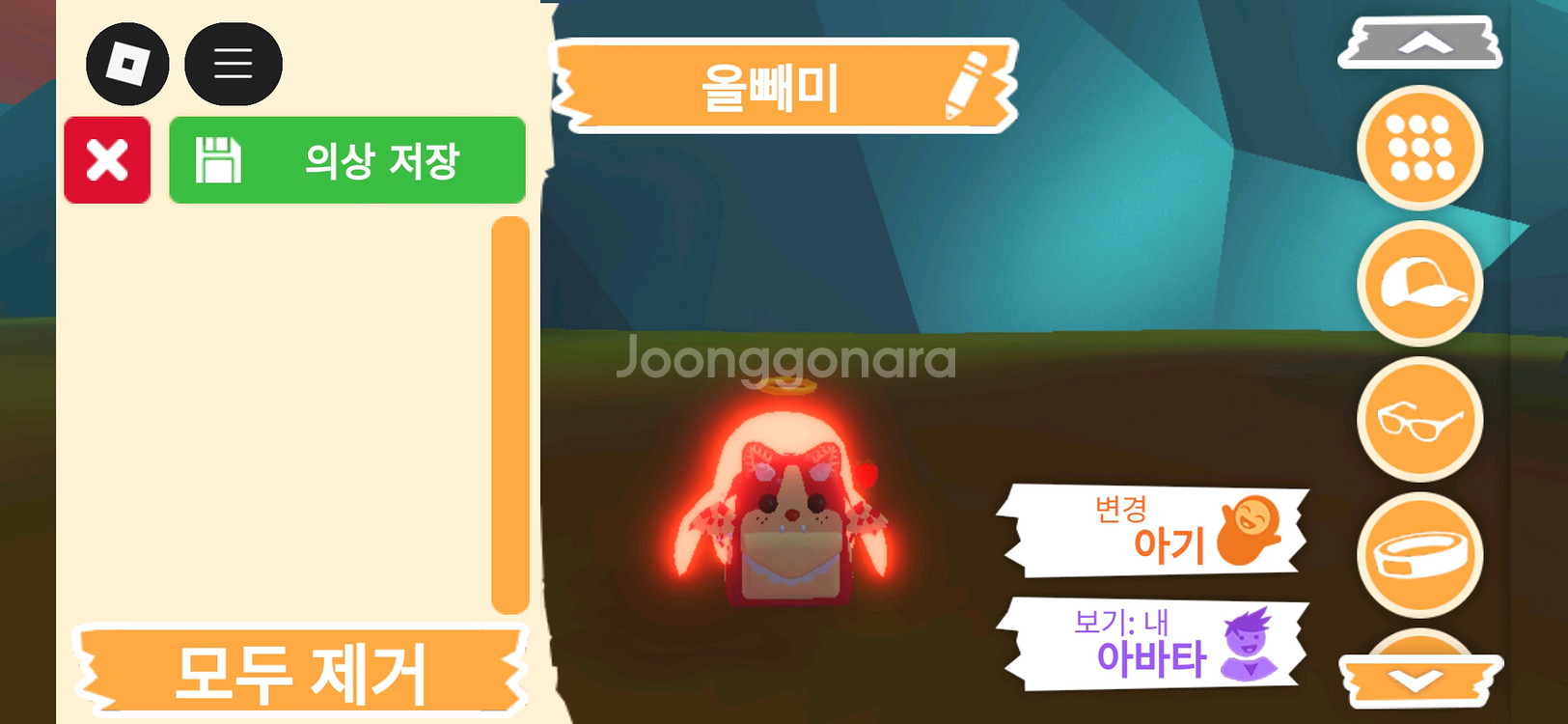 입양하세요 펫 네온 올빼미(부엉이)(네뵝)판매합니다--3