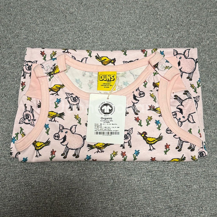 던스 핑돼 덩가리 80--0