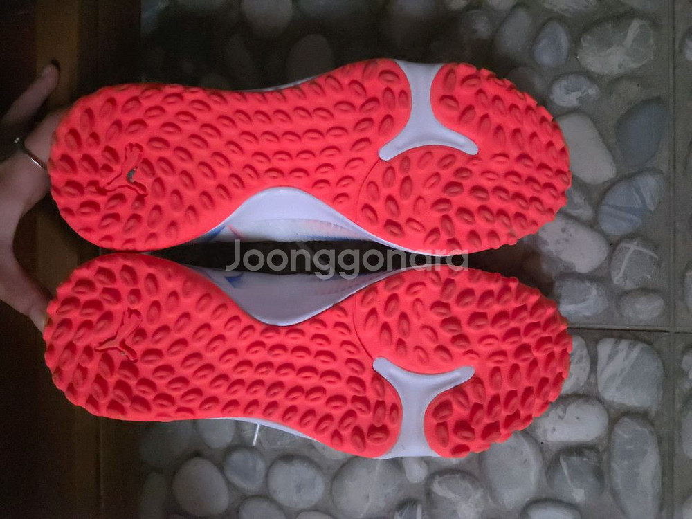 푸마 여성/주니어 풋살화 225--4