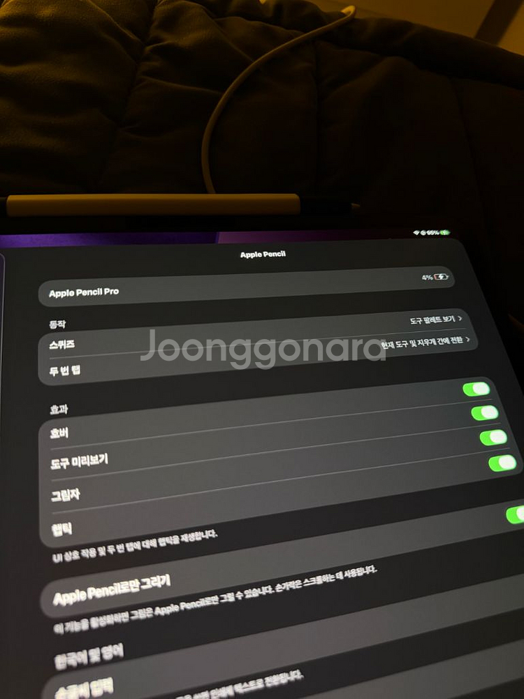 아이패드 프로 13 M4 256GB 셀룰러 + 매직키보--9