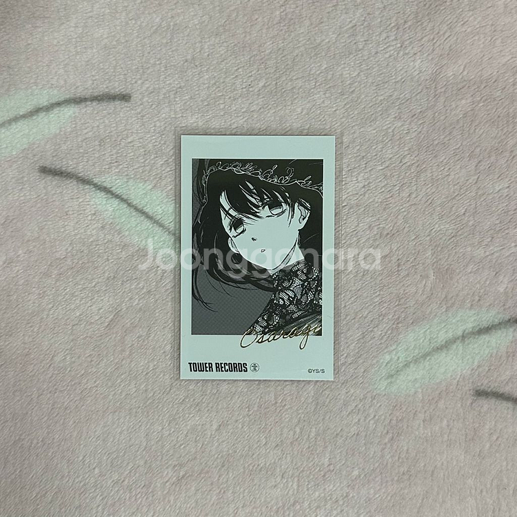 사카모토데이즈 사카데이 오사라기 타워레코드 폴라로이드--0