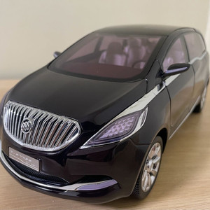 1:18 cm 뷰익 비즈니스 컨셉카 다이캐스트