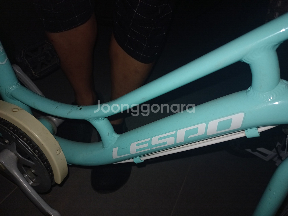 레스포 프림로즈--1