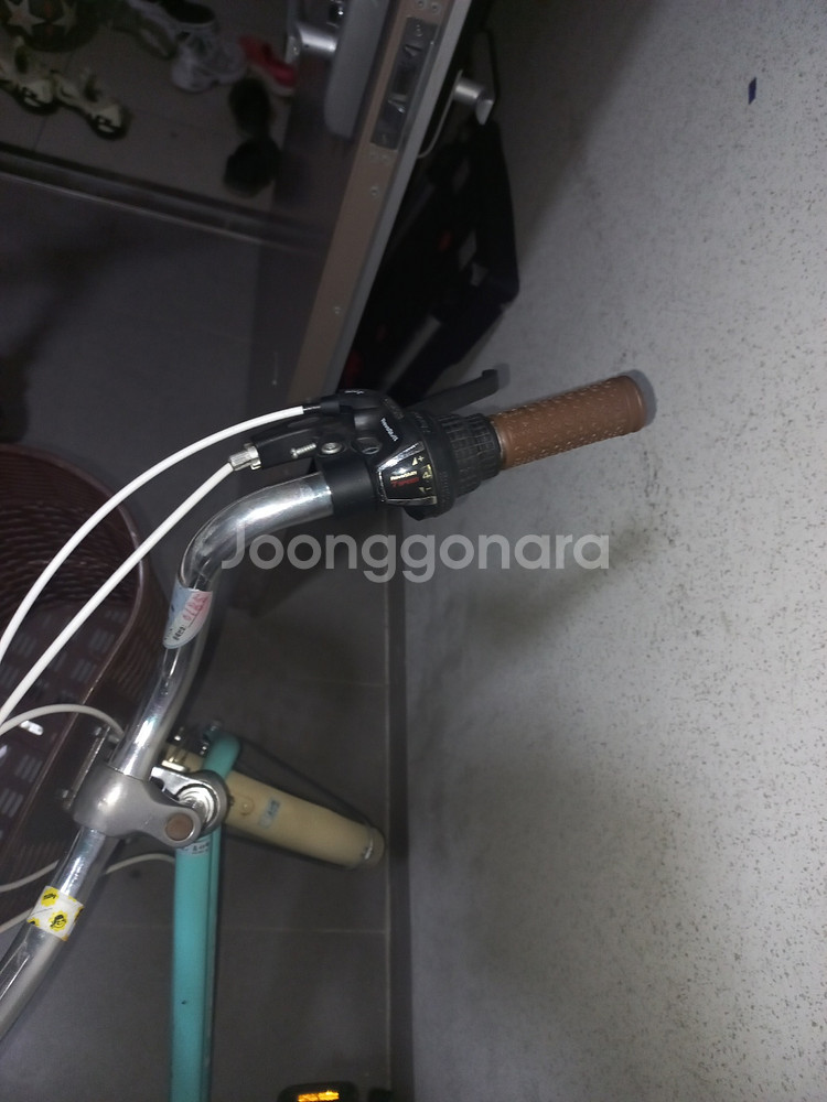 레스포 프림로즈--2