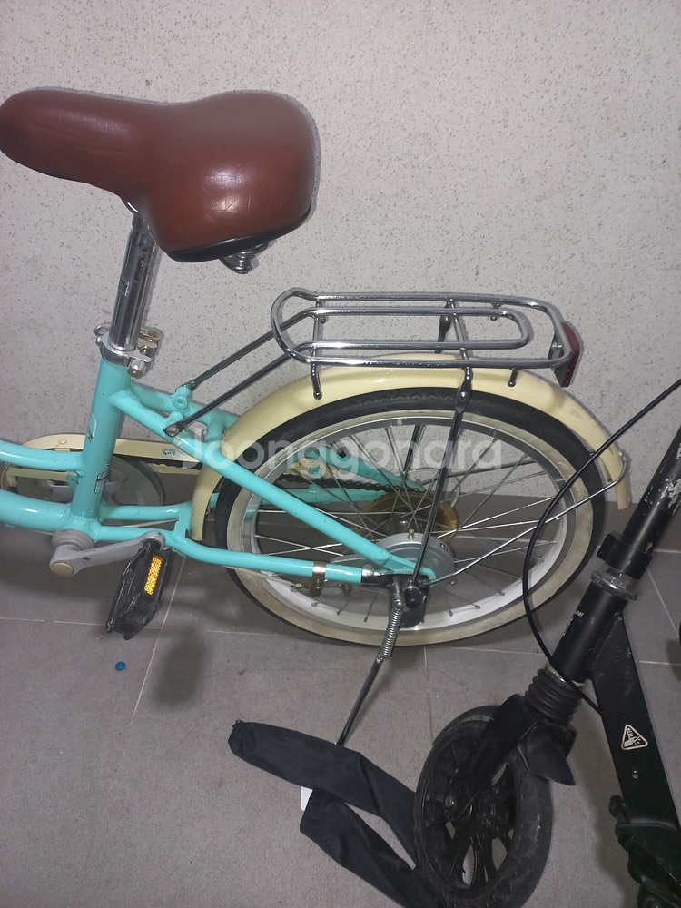 레스포 프림로즈--3