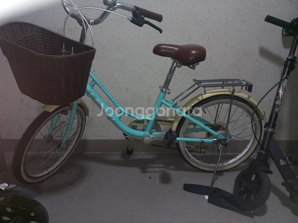 레스포 프림로즈--5