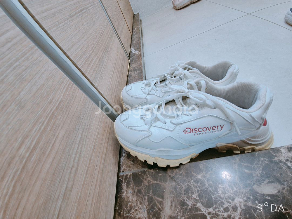 디스커버리 250--0