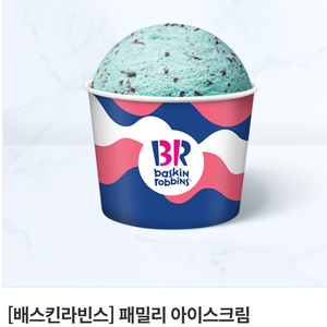 배스킨라빈스 패밀리 아이스크림 기프티콘