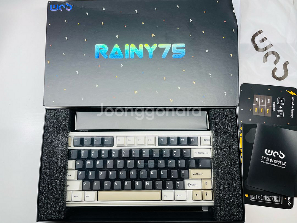 레이니 치즈화이트 중옵(바이올렛축) rgb--0