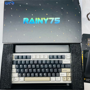 레이니 치즈화이트 중옵(바이올렛축) rgb