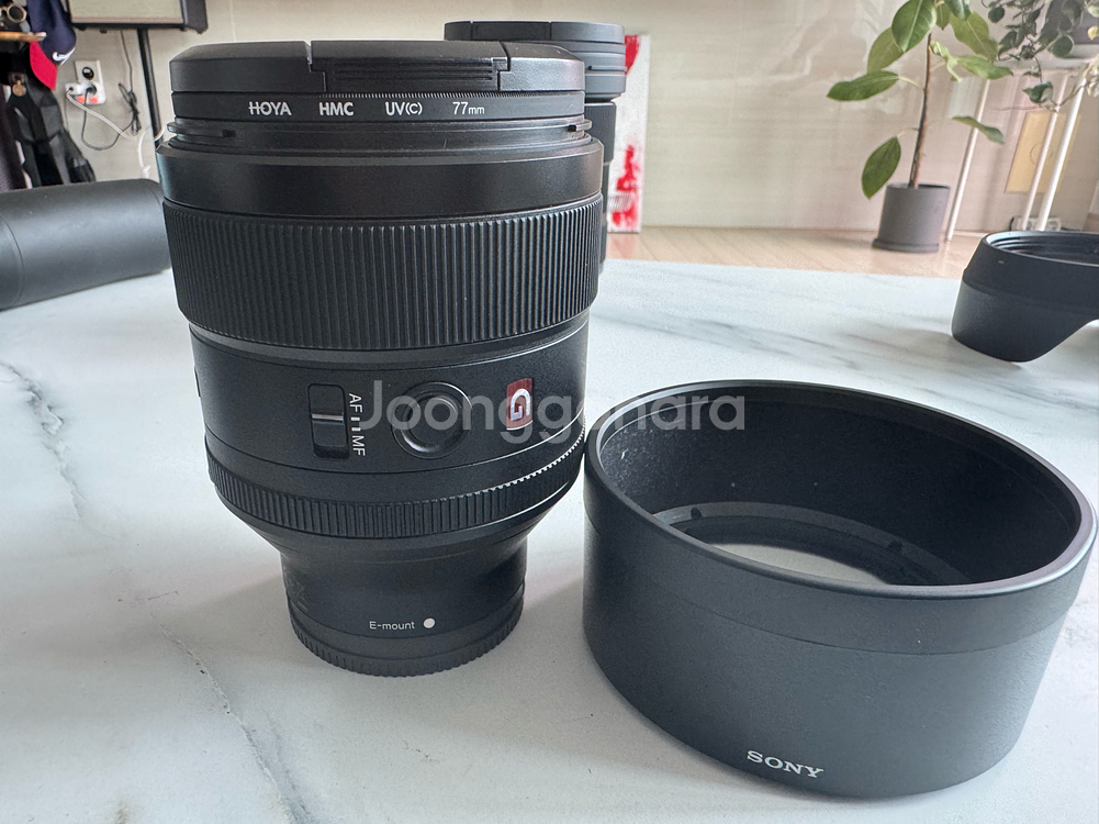 소니a7rIV 85mm1.4 시그마24-70 팝니다--6