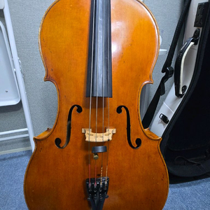 전공자용 이태리 첼로(활포함)