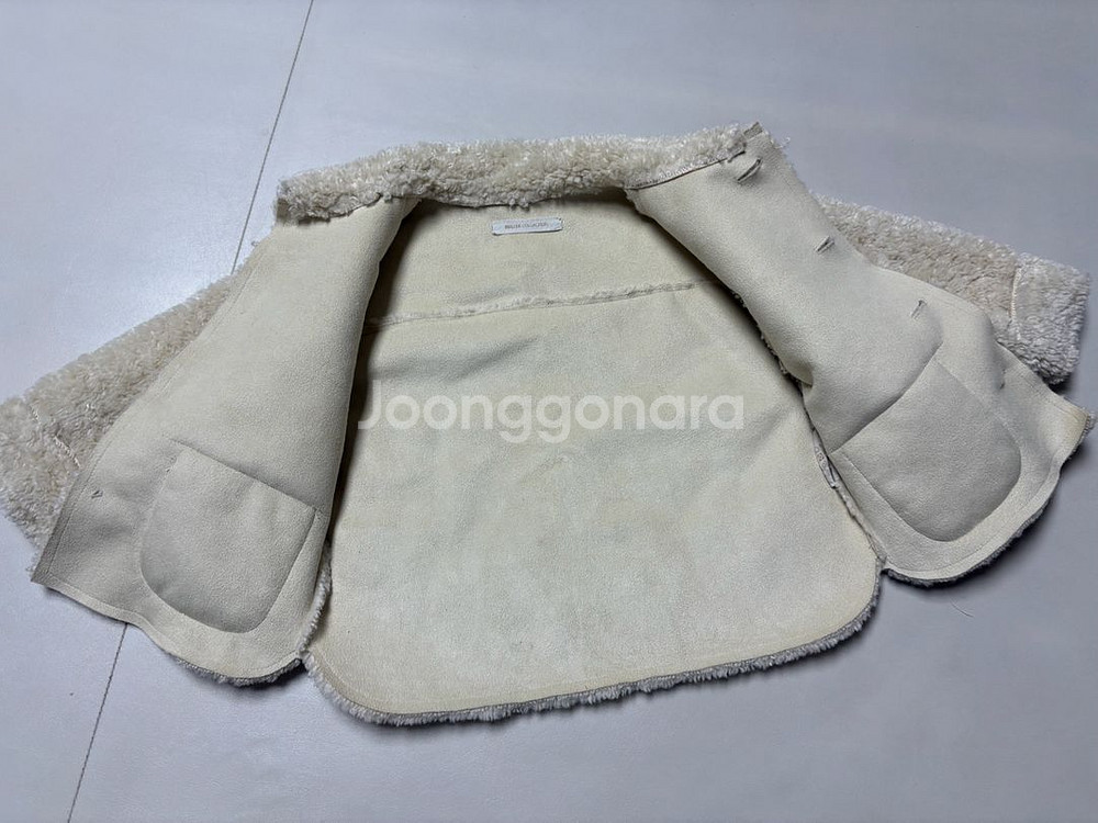 브리이에 아기 무스탕 1B--2