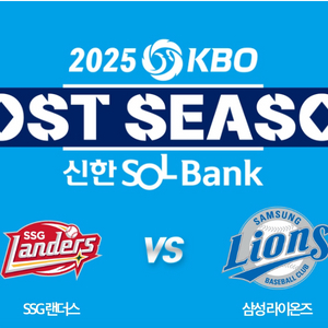 4차전 준플 SSGvs삼성 중앙SKY지정석 단석