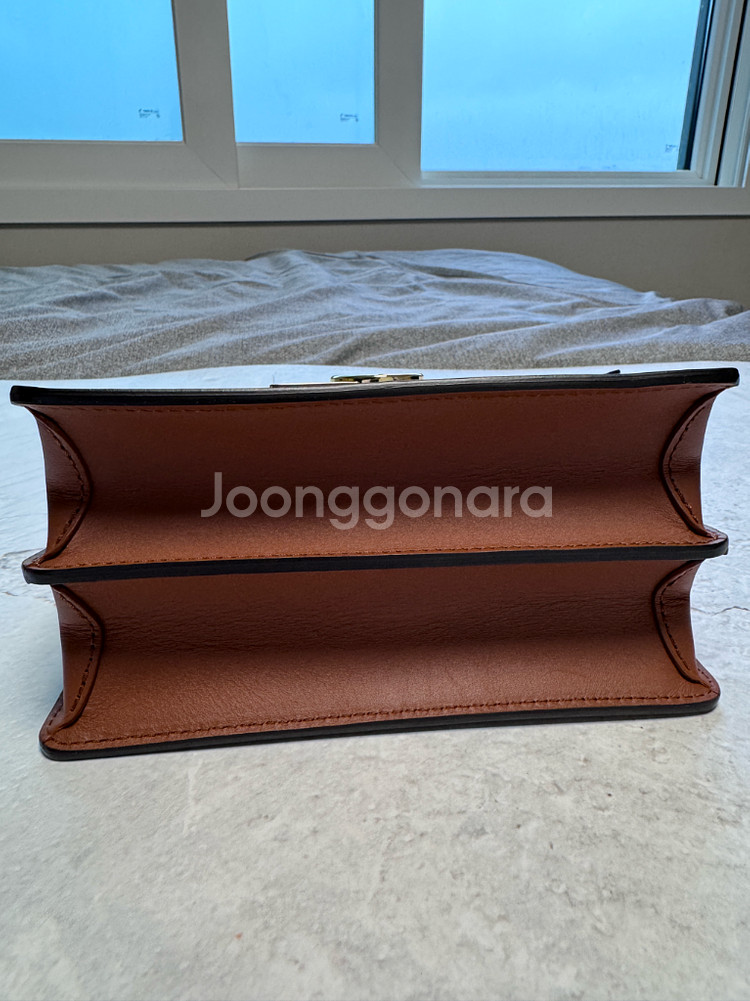 루이비통 도핀 미니백 모노그램 (정품)--5