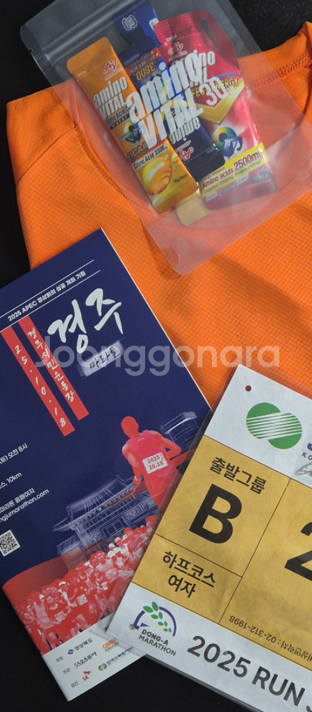 2025 경주마라톤 하프코스 B조 여성 배번--0