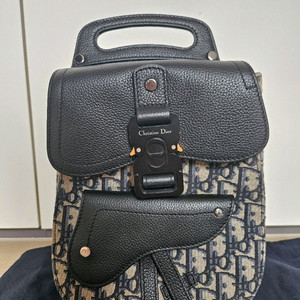 급처 새상품급 디올 갤럽 슬링백