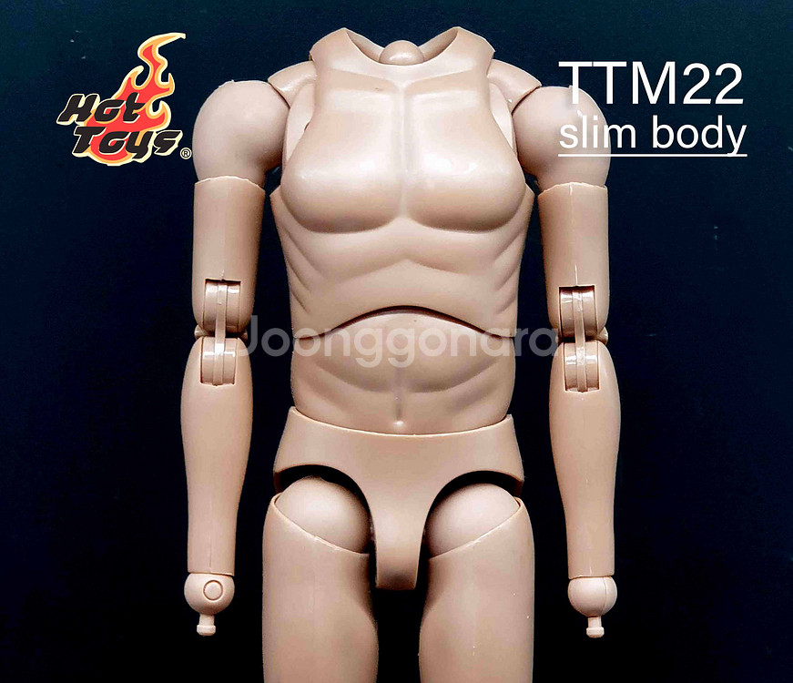 핫토이 TTM22 슬림 바디(라쳇관절) 12인치 피규어--0