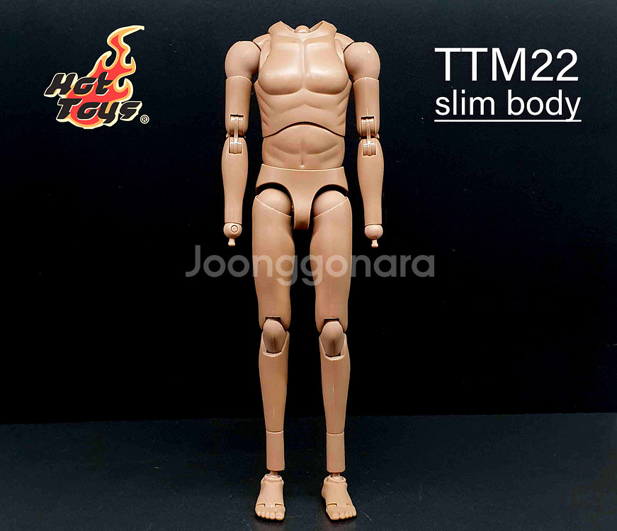 핫토이 TTM22 슬림 바디(라쳇관절) 12인치 피규어--3