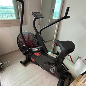 세벡스 엑스퍼트 에어바이크(24년12월 구매)