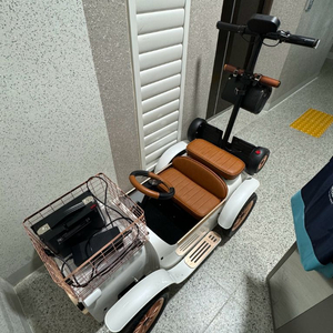 디트로네s전동차