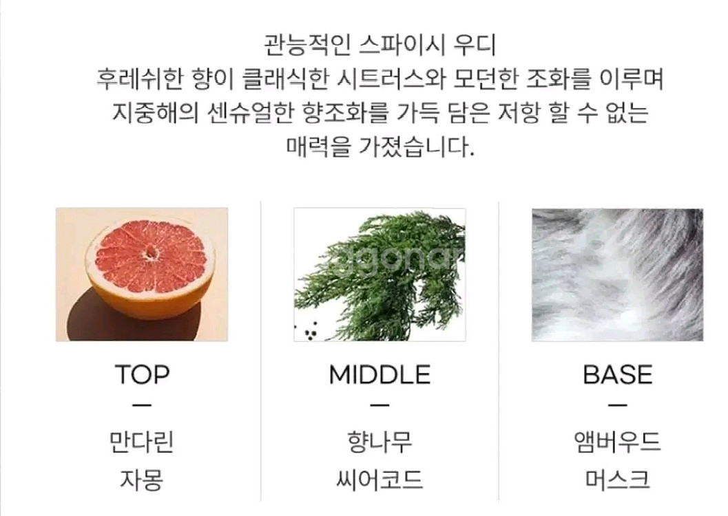 돌체 라이트블루 오 인텐스 뿌르옴므 오드퍼퓸 100ml--4