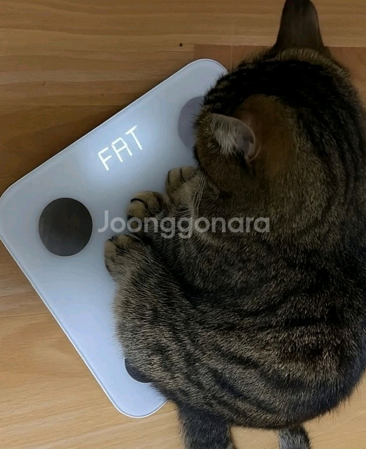 cgv 트론 아레스 4천 메가박스 9천 영화 예매--0