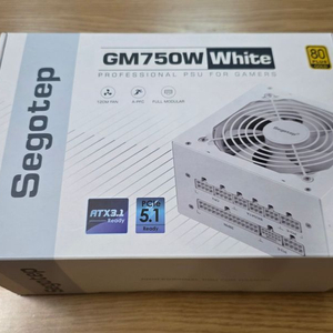 SEGOTEP GM750W GOLD ATX3.1 화이트