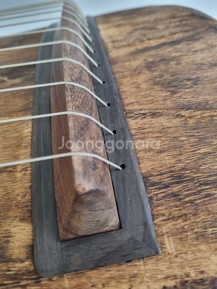 고흥곤 12현 정악가야금--6