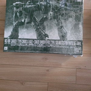 HG 자쿠 II F형 찹스 & 케일 탑승기 + 무식별형