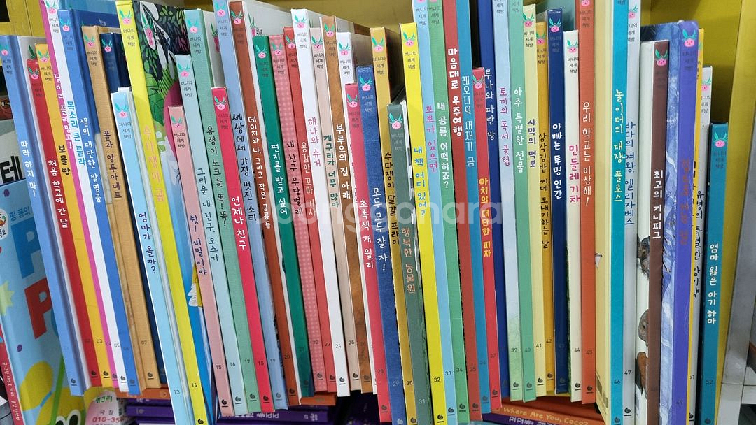 버니의 세계책방--0