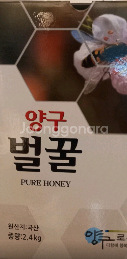 양구 벌꿀--0