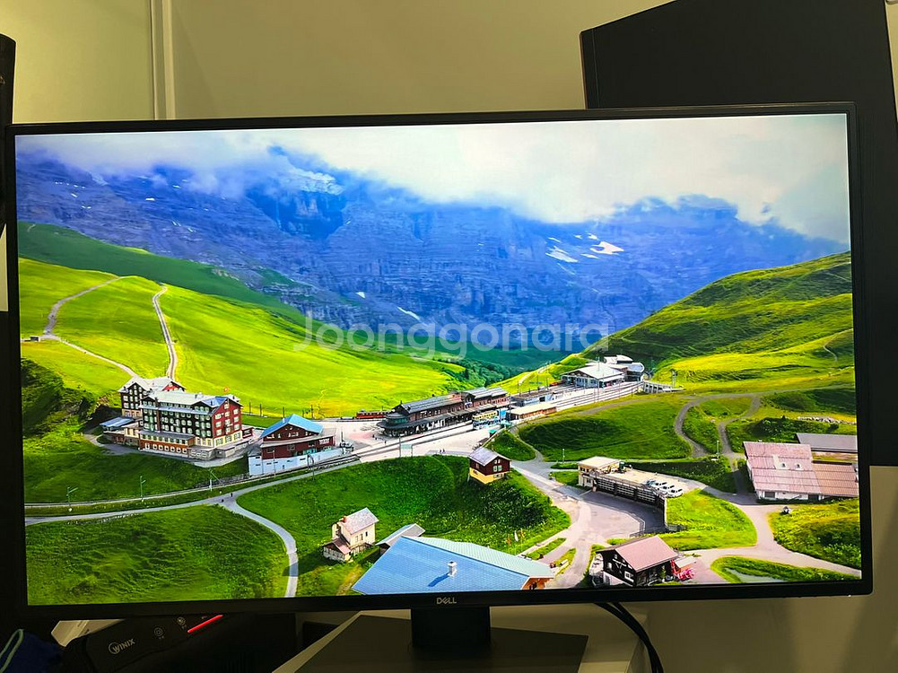 Dell U4320Q 모니터 직거래--0